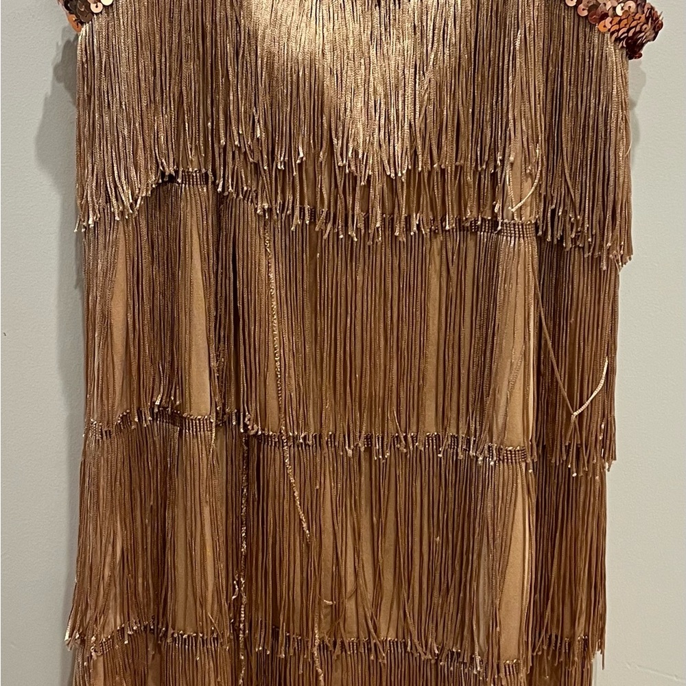 Gold Fringe Flapper Costume Dress Girls Size 10/12